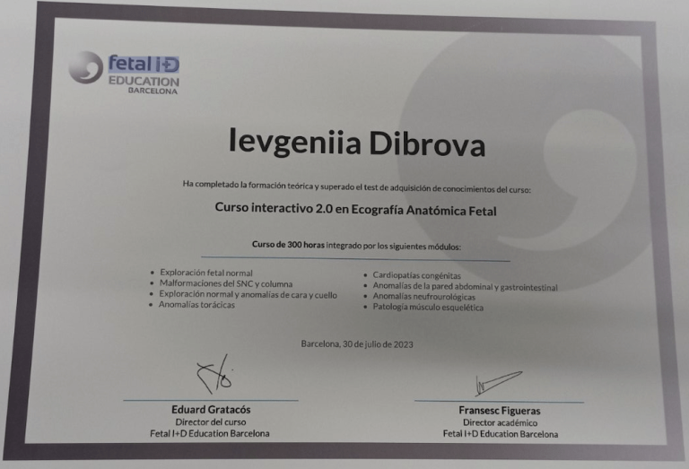 Діброва Євгенія Владиславівна Сертифікат 13