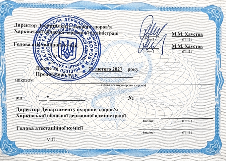 Сігідіна Альона Ігорівна Сертифікат 5