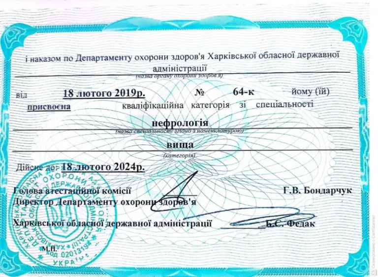 Мисула Руслан Зиновьевич Сертификат 2